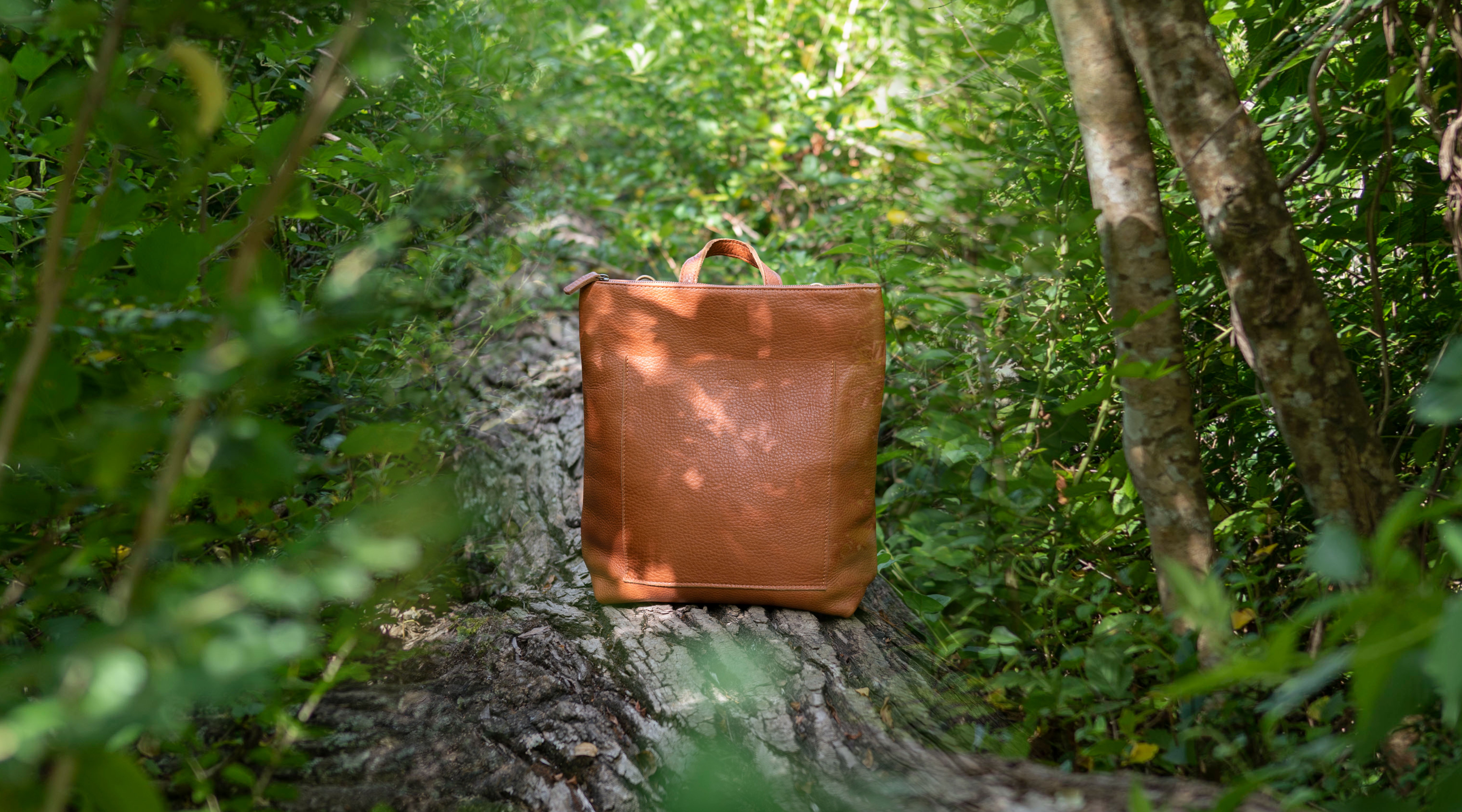 Mochila de cuero en bosque casia